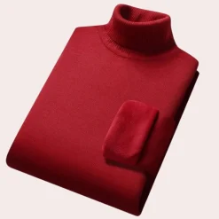 Truien & Vesten Heren*Beau - Casual coltrui voor heren