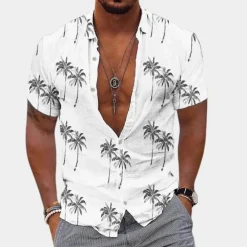 Shirts Heren*Berne - Eenvoudig herenoverhemd voor de zomer