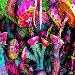 Jassen Heren*BILLY - Luxe Zomerjas voor Heren Multikleur