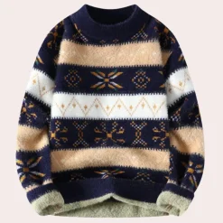 Truien & Vesten Heren*BIRDHIL - Elegante Trui voor Heren