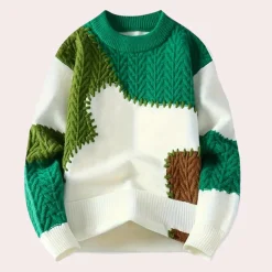 Truien & Vesten Dames*BIRKETT - Modieuze Trui voor Dames