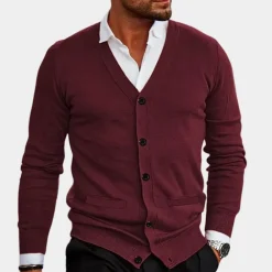 Truien & Vesten Heren*Casual zomervest voor heren