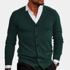 Truien & Vesten Heren*Casual zomervest voor heren