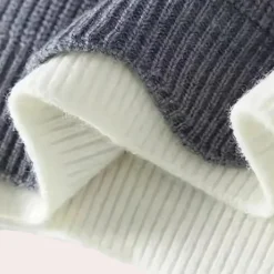 Truien & Vesten Heren*DALE - Zomerse Vrijetijdstrui voor Heren