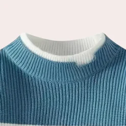 Truien & Vesten Heren*DALE - Zomerse Vrijetijdstrui voor Heren