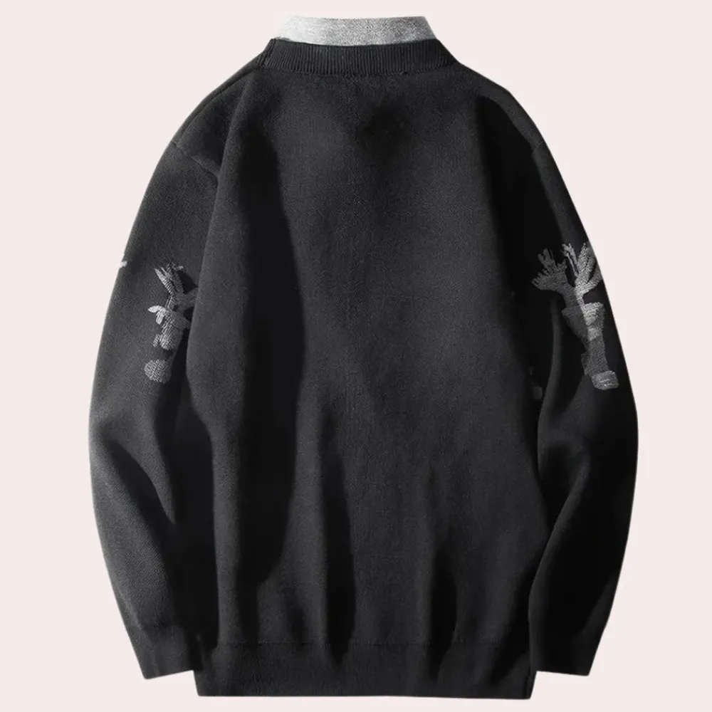 Truien & Vesten Heren*DAVI - Comfortabele Zomerse Trui voor Heren