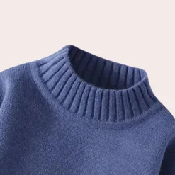 Truien & Vesten Heren*EDER - Elegante Trui voor Heren Blauw