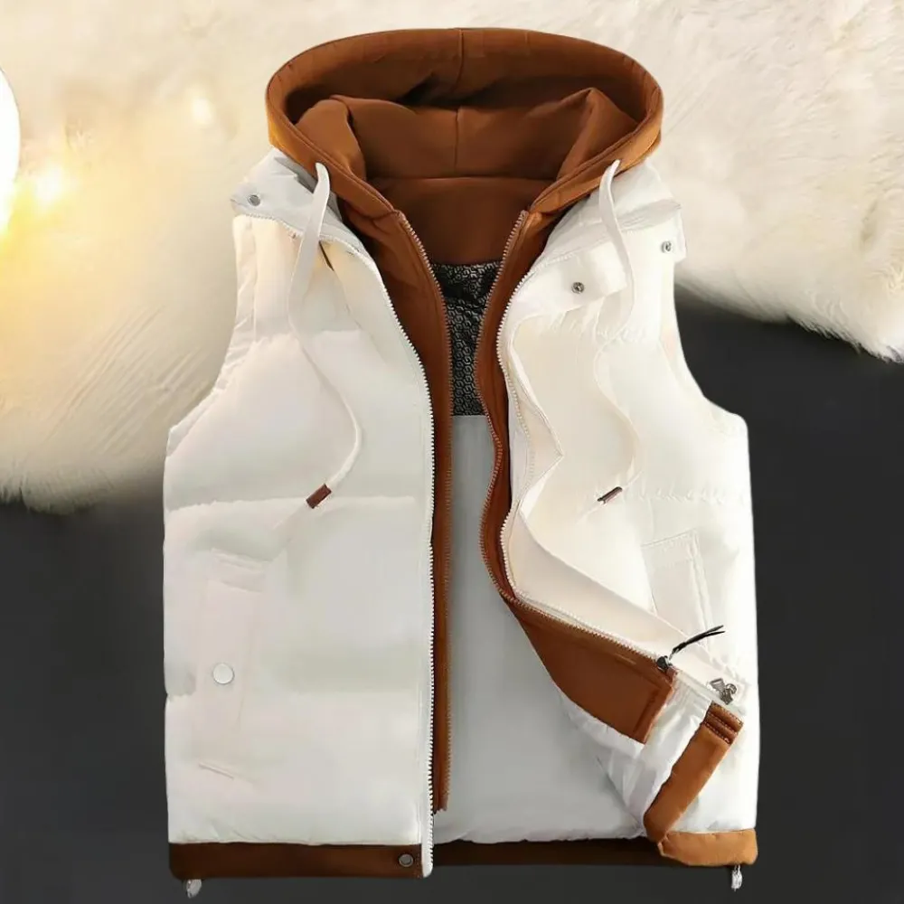 Truien & Vesten Heren*FRANK - Casual Zomer Capuchon Vest voor Heren