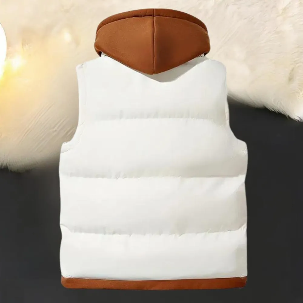 Truien & Vesten Heren*FRANK - Casual Zomer Capuchon Vest voor Heren