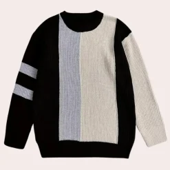 Truien & Vesten Heren*GERALD - Stijlvolle Lente/Zomer Trui voor Heren