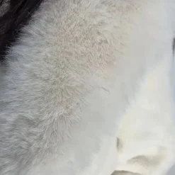 Jassen Dames*MAELANI - Warme Winterjas voor Dames Wit