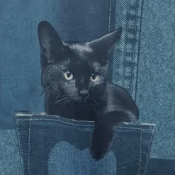 Truien & Vesten Dames*MARIS - Luxe Zomerse Trui voor Dames Donkerblauw