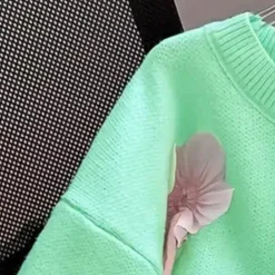 Truien & Vesten Dames*ZITA - Luchtige Zomertrui voor Dames Lichtgroen